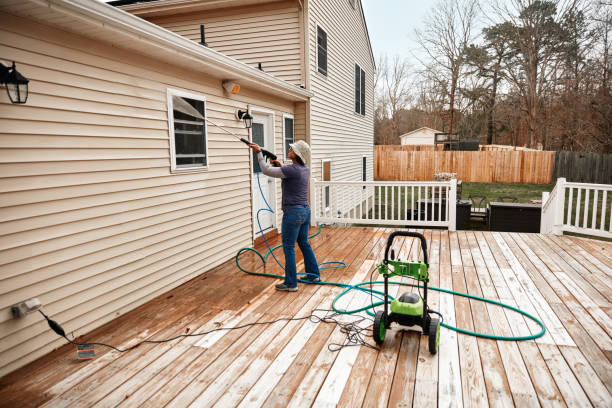 Best Pressure Washing Near Me  in Rogersville, TN