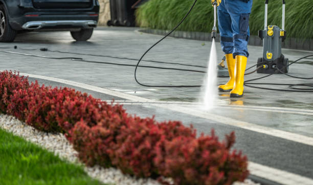 Pressure Washing Services for Businesses in Rogersville, TN