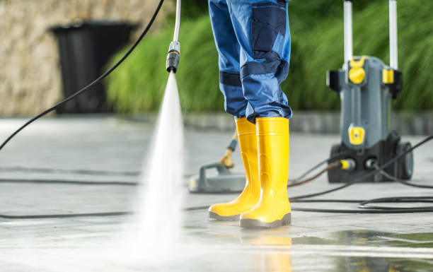 Best Pressure Washing Services Near Me  in Rogersville, TN