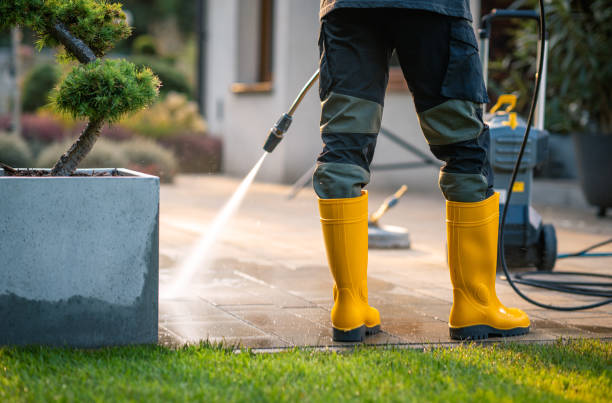 Best Pressure Washing Company Near Me  in Rogersville, TN